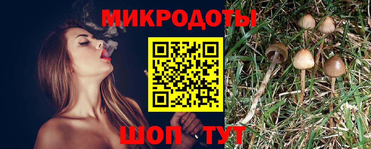 Псилоцибиновые грибы Psilocybine cubensis  Вход с VPN  Асбест 